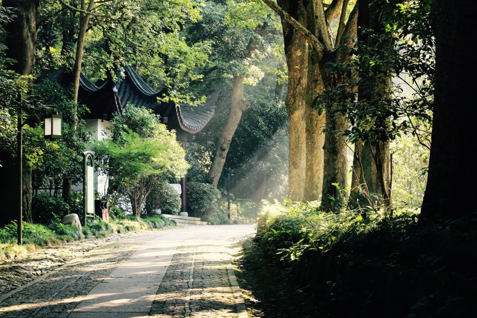 Bamboo-lined Path at Yunqi
